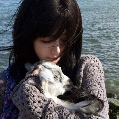 追捕野狼帮 海报